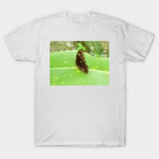 122514 owl T-Shirt